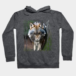 Mother Wolf with Her Cub. Wolves. Hoodie